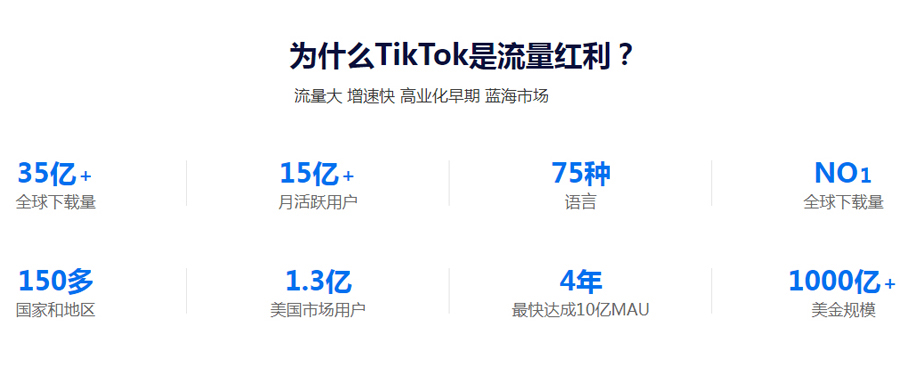 外贸网站建设Tiktok推广  第3张