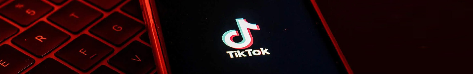 外贸网站建设Tiktok推广  第2张