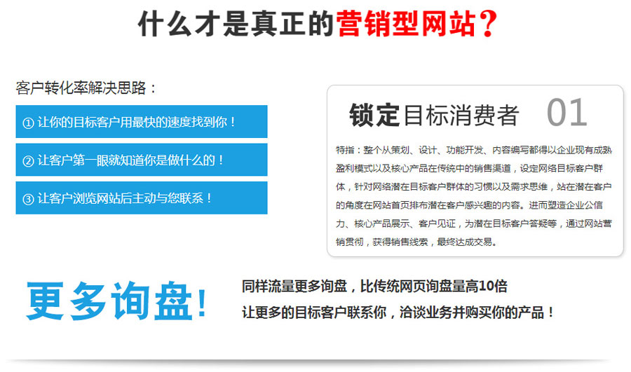 外贸网站建设营销型网站建设  第1张